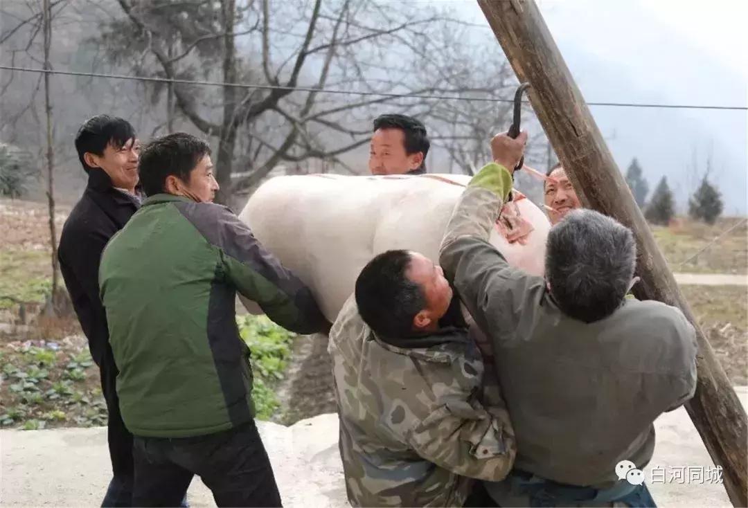 吉尼斯纪录 世界最大锅杀猪菜 冬至美食挑战成功