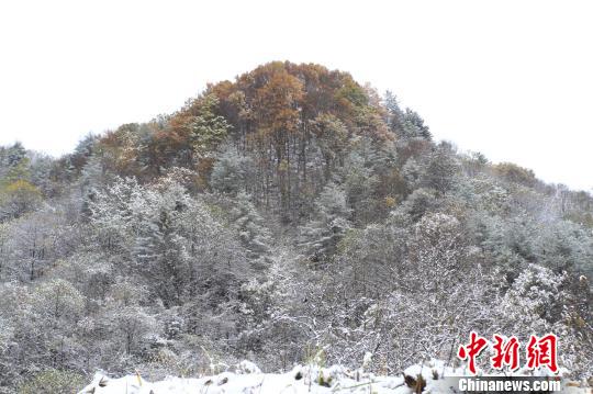 今日北方多大风 明日新疆西藏有强降雪 全国多地迎来雨雪天气